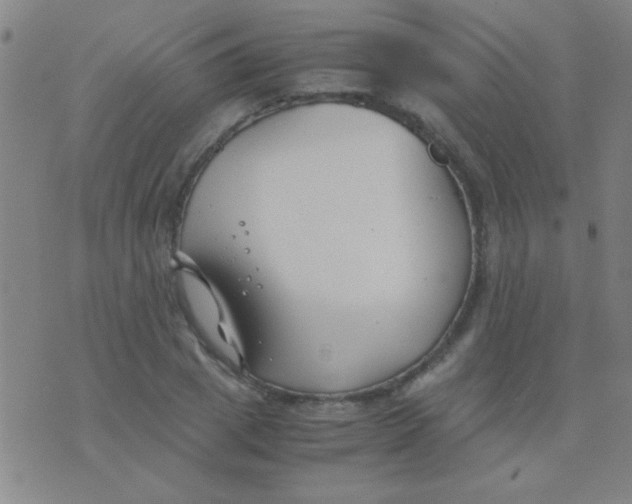 X0000075840833200610061845