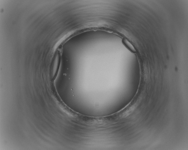 X0000075840834200610061845