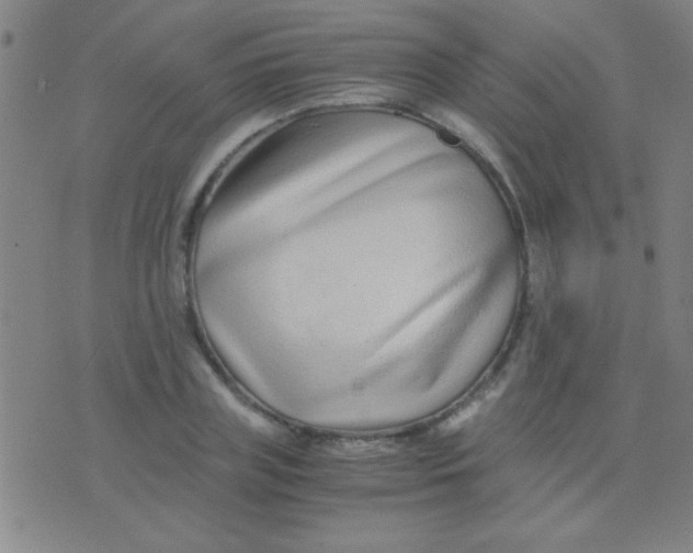 X0000075840835200610061845