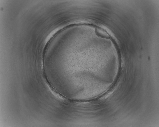 X0000075840837200610061845