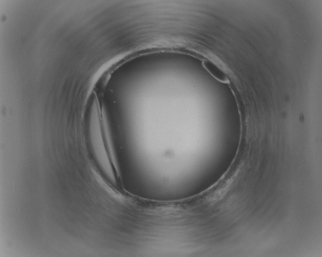 X0000075840838200610061845