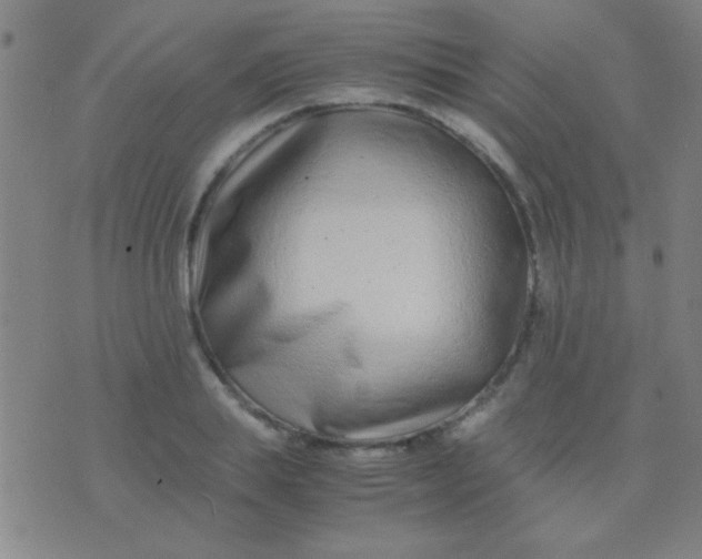 X0000075840839200610061845