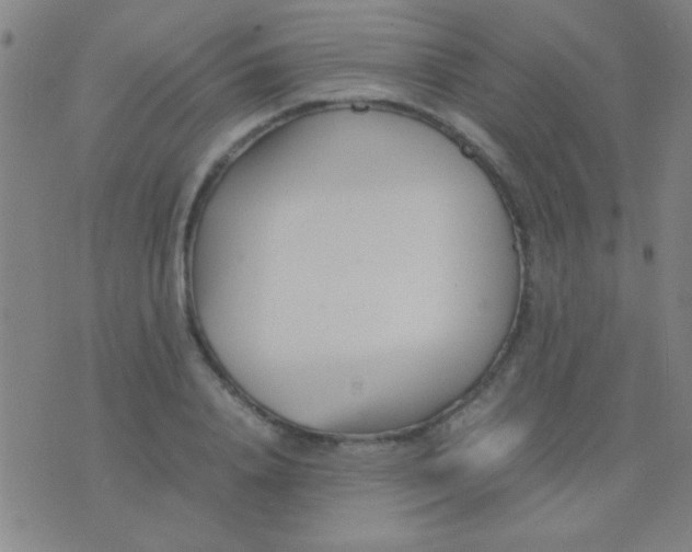 X0000075840840200610061845