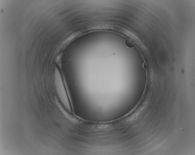 X0000075840841200610061845