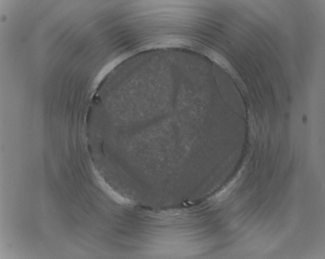 X0000075840842200610061845