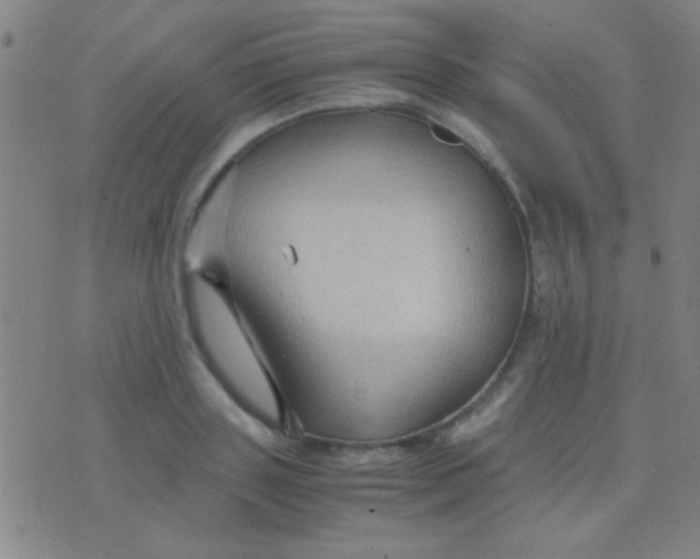 X0000075840843200610061845