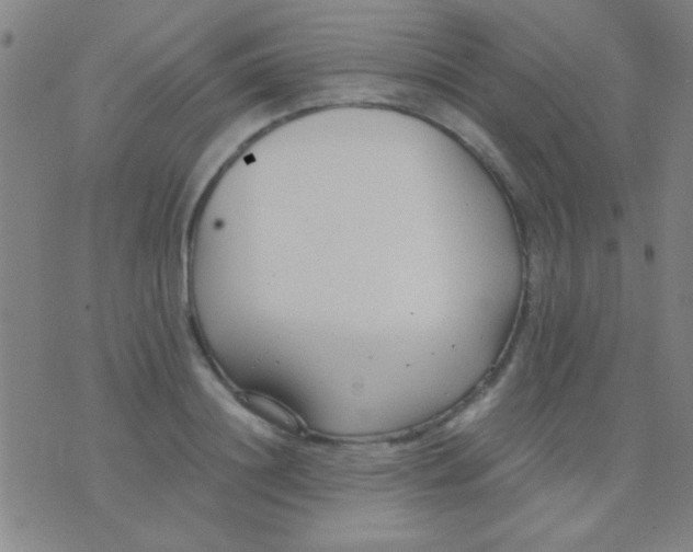 X0000075840844200610061845