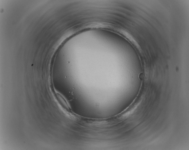 X0000075840845200610061845