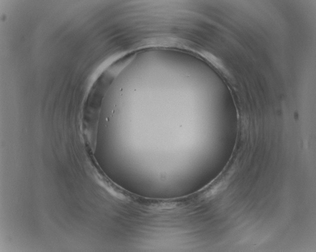 X0000075840846200610061845