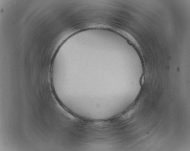 X0000075840847200610061845