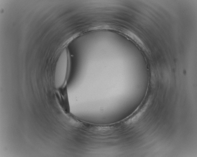 X0000075840849200610061845