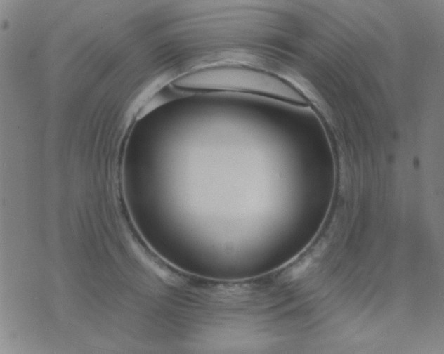 X0000075840850200610061845