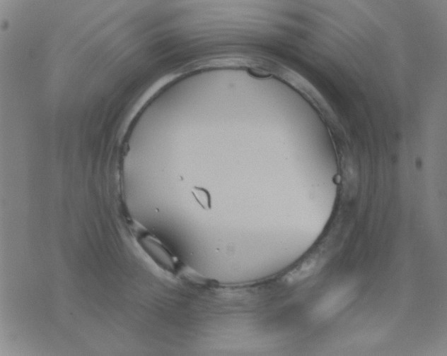 X0000075840852200610061845