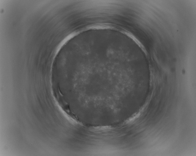 X0000075840853200610061845