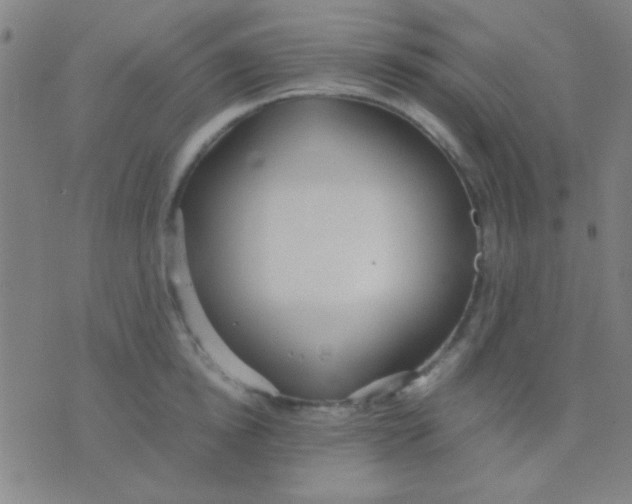 X0000075840854200610061845