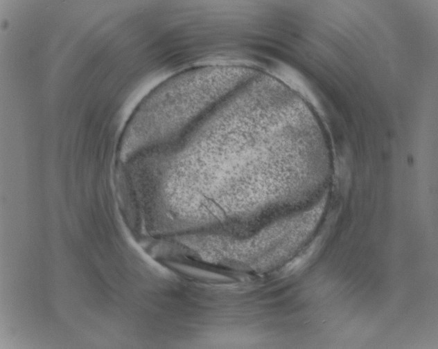 X0000075840855200610061845