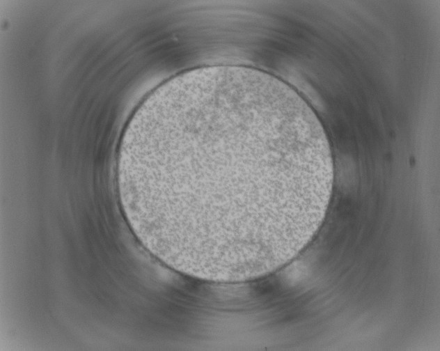 X0000075840856200610061845