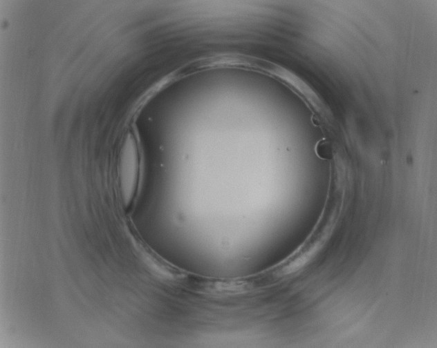 X0000075840857200610061845