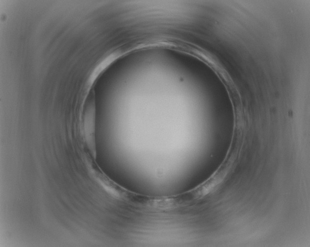 X0000075840858200610061845