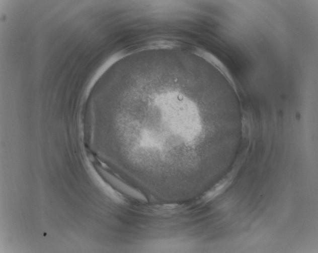 X0000075840859200610061845