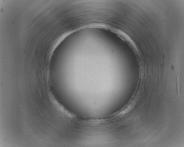 X0000075840860200610061845