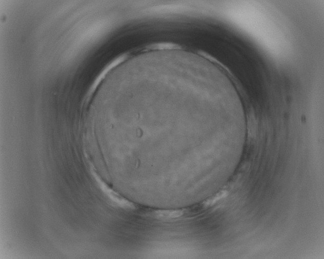 X0000075840861200610061845