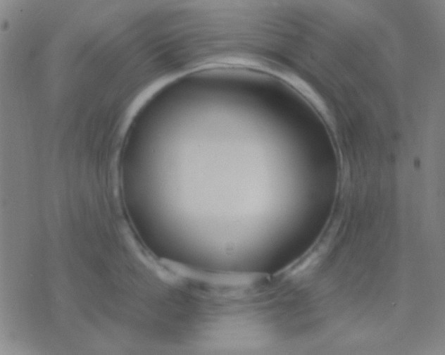 X0000075840862200610061845