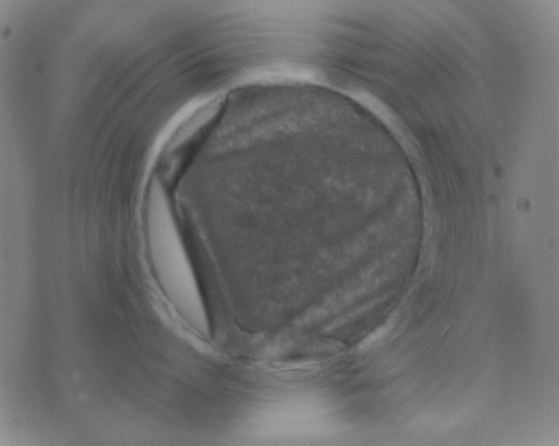 X0000075840864200610061845