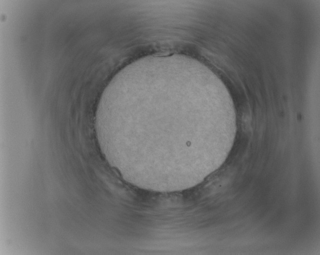 X0000075840865200610061845