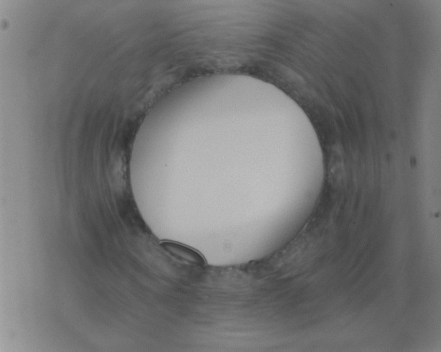 X0000075840866200610061845