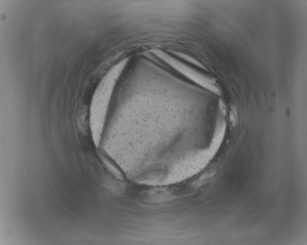 X0000075840867200610061845