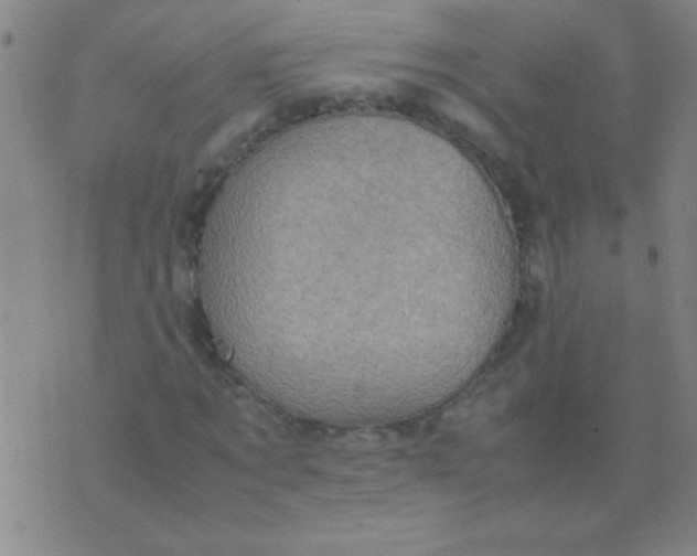 X0000075840869200610061844