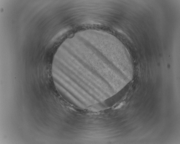 X0000075840870200610061844