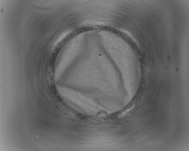 X0000075840871200610061844