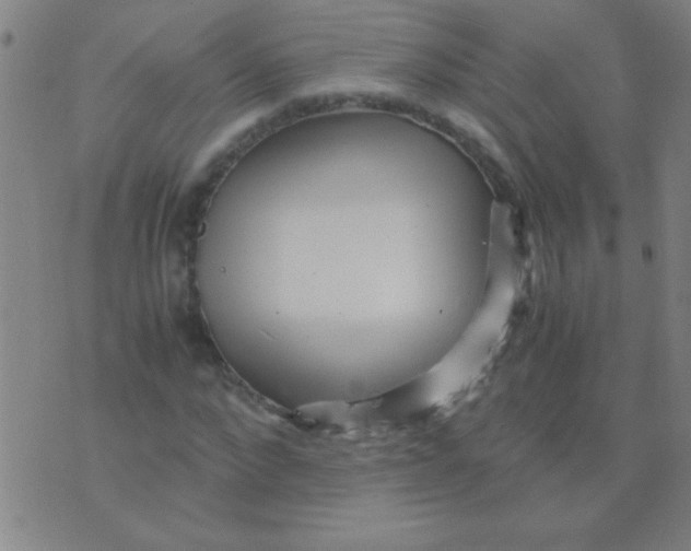 X0000075840872200610061844