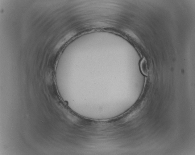 X0000075840873200610061844