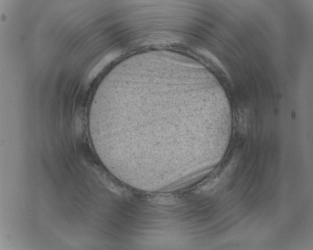 X0000075840874200610061844