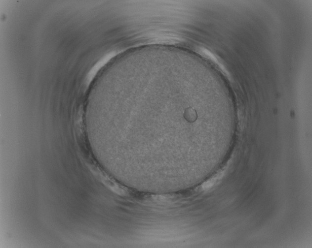 X0000075840875200610061844