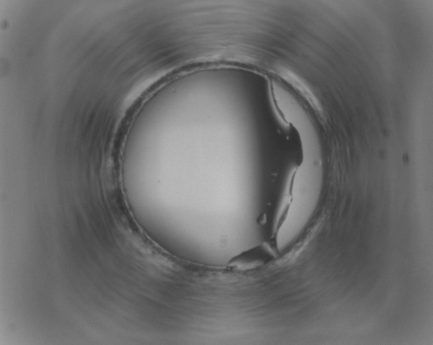 X0000075840876200610061844