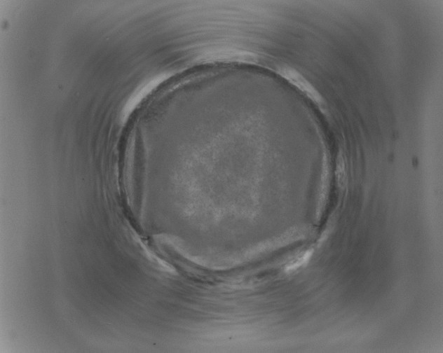 X0000075840877200610061844