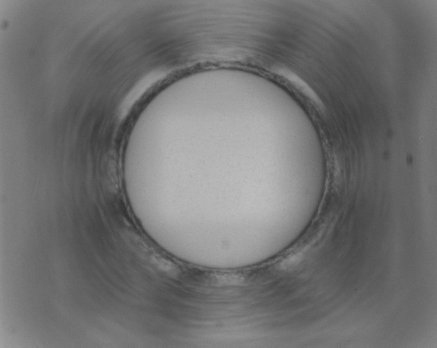 X0000075840878200610061844