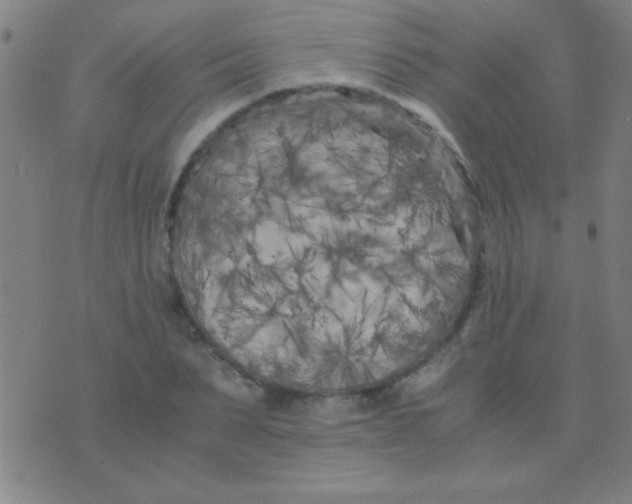 X0000075840879200610061844