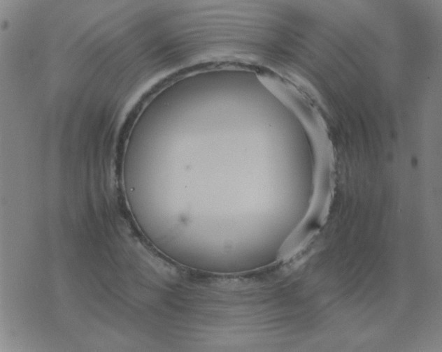 X0000075840880200610061844