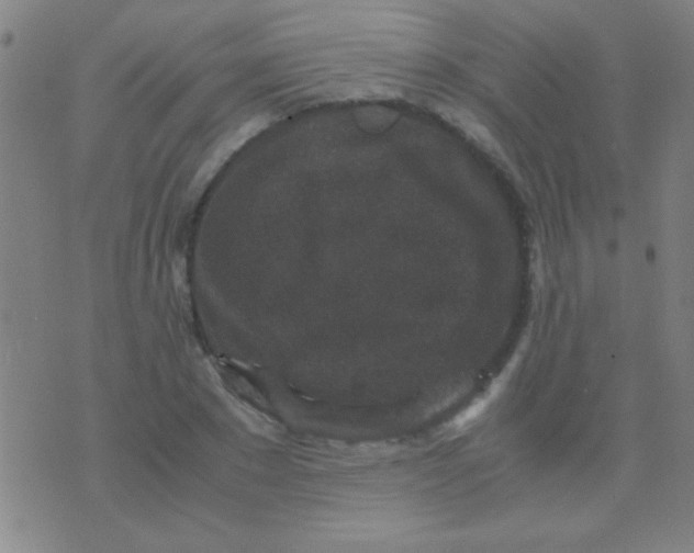 X0000075840881200610061844