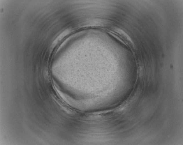 X0000075840882200610061844