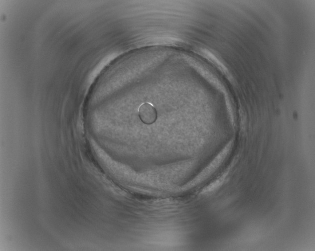 X0000075840883200610061844