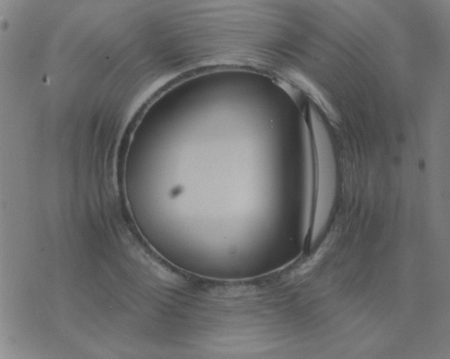 X0000075840884200610061844