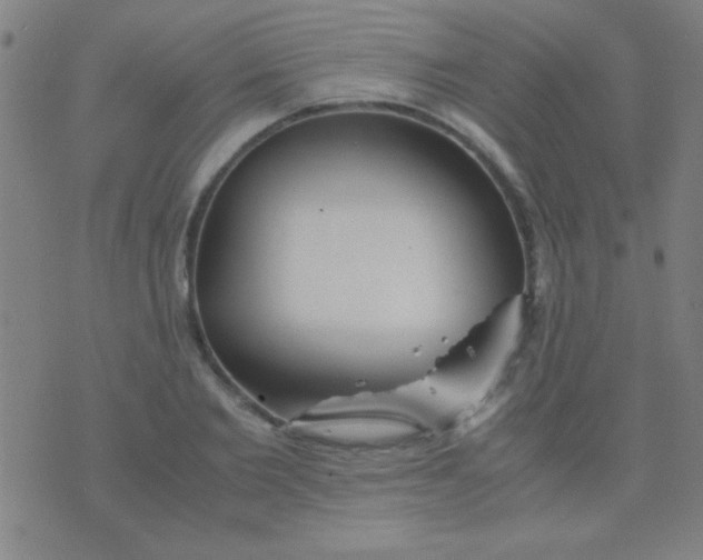 X0000075840885200610061844