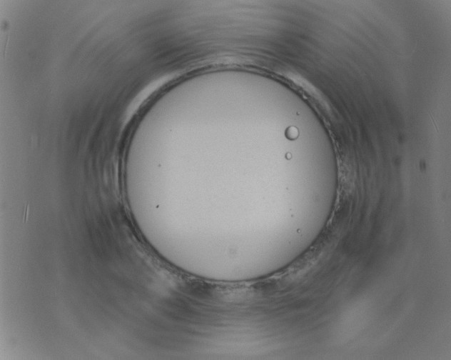 X0000075840886200610061844