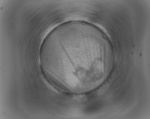 X0000075840887200610061844